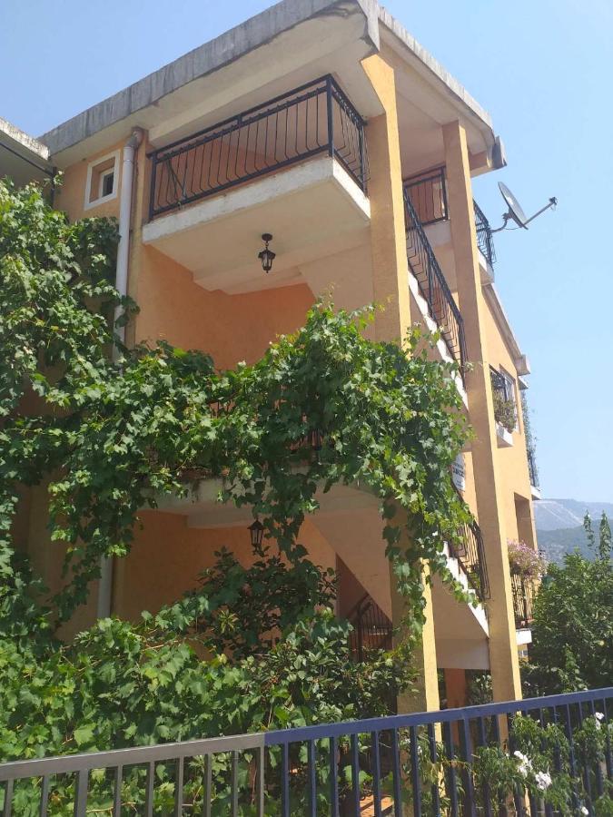 Guesthouse Djacic Budva Exterior foto